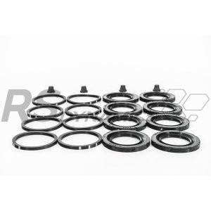 Megane 4 RS - Revisieset Brembo remklauwen voorzijde